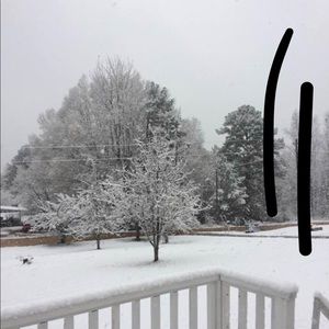 Meet your Posher, Joyce